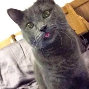 Meet your Posher, Pam